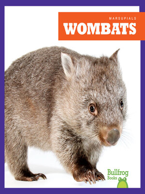 cover image of Wombats